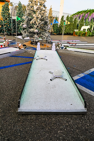5V1A9084