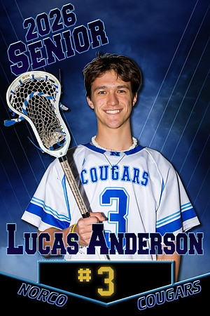 Senior Banner 2x3