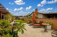 Backyard 5