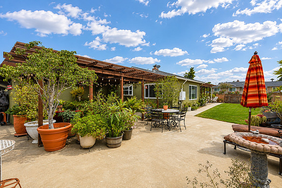 Backyard 3