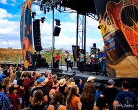Wild Feathers