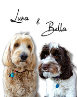 Luna&Bella2