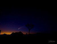 Neowise Comet-0189