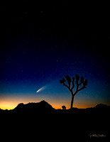 Neowise Comet-0197