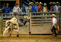 Bull Riding