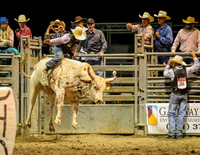 Bull Riding