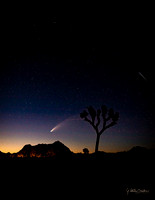 Neowise Comet-0191