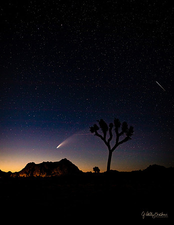 Neowise Comet-0191