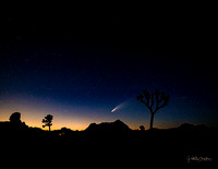 Neowise Comet-0190