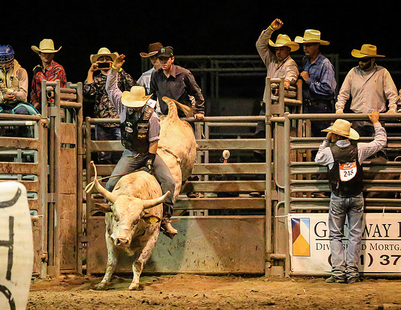 Bull Riding