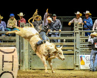 Bull Riding