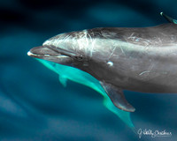 The Look-0519-3