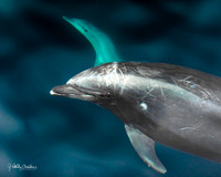 The Look-0521