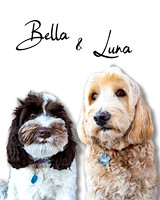 Luna&Bella1