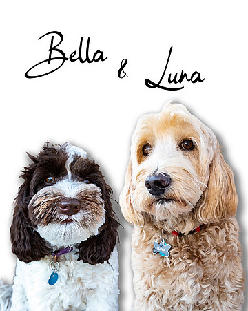 Luna&Bella1
