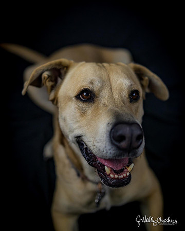 Molly