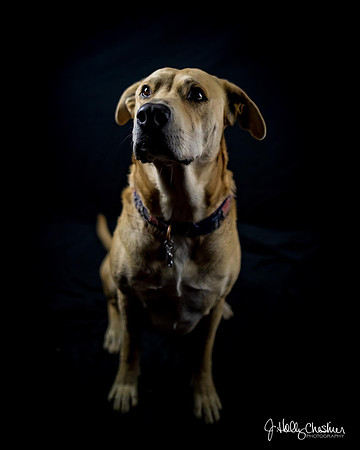 Molly